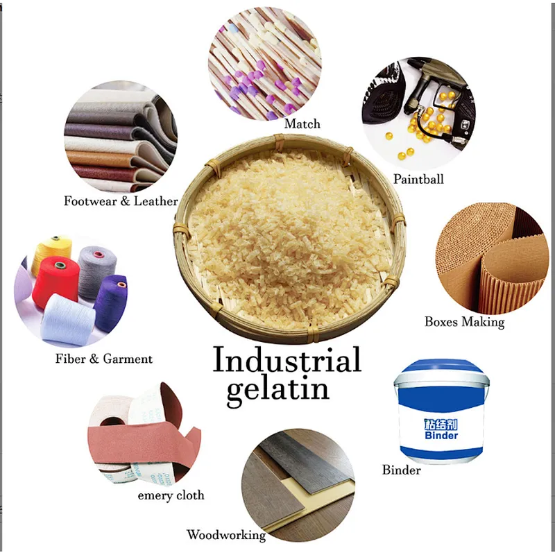 Factory Price Edible Beef Gelatin in Wholesale Price From China